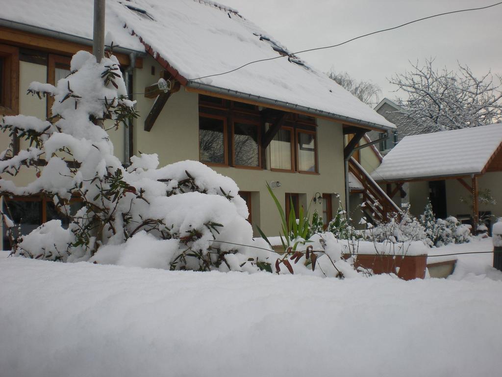 Le Pressoir Des 4 Saisons Apartment Berrwiller Cameră foto